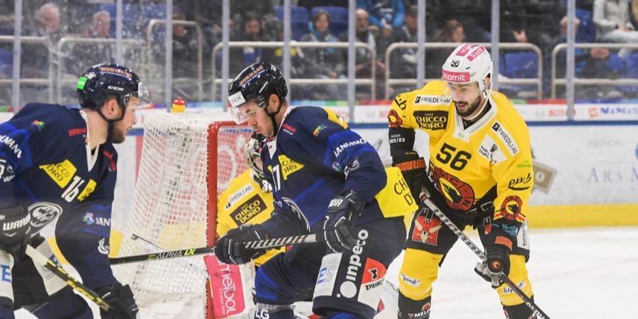 sc bern