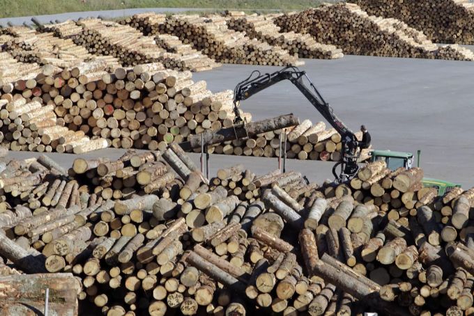 Nicht alles was wir verbrauchen, wächst zu gleichen Teilen wieder nach. Am Earth Overshoot Day sind die natürlichen Ressourcen für das laufende Jahr aufgebraucht. (Symbolbild) Holzlager Ressourcen
