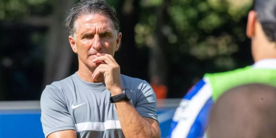 Muss bei Hertha BSC noch einige Probleme lösen: Trainer Bruno Labbadia. Foto: Andreas Gora/dpa