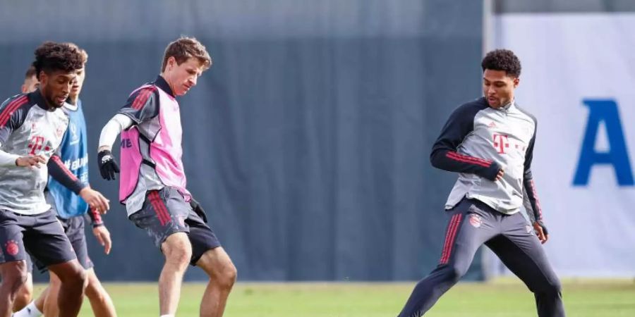 Am Abschlusstraining konnte Serge Gnabry noch teilnehmen. Foto: Marco Donato/FC Bayern München/dpa