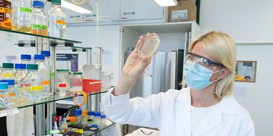 Die ZHAW-Forscherin Rebecca Buller entwickelt gemeinsam mit ihrem Team effiziente plastikfressende Enzyme im Labor.