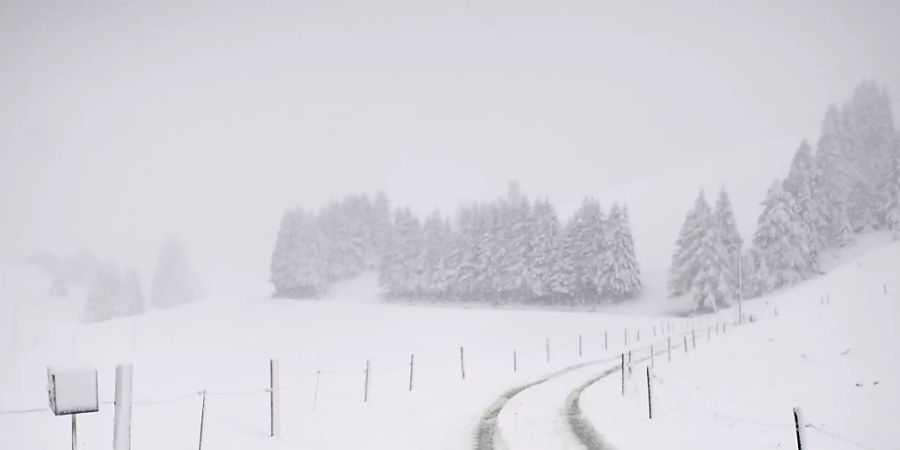 Schnee und Hudelwetter: Verschneite Landschaft in St. Margrethenberg SG.