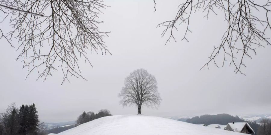 weisse weihnachten