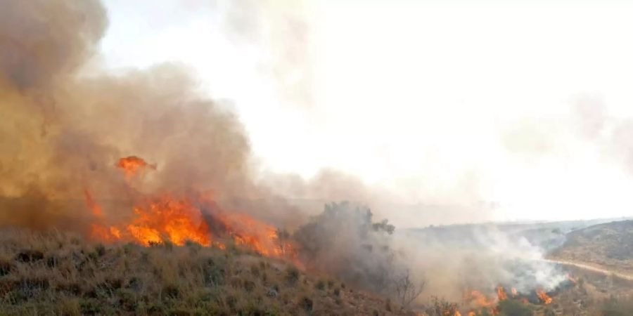 Durch Brandballon ausgelöstes Feuer in Südisrael