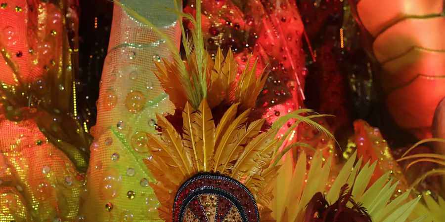 Der farbenprächtige Karneval in Rio de Janeiro fällt im kommenden Februar aus. (Archivbild)