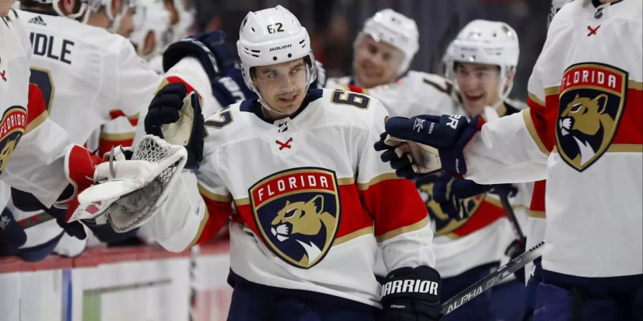 Hat es in der NHL in dieser Saison nicht einfach: Denis Malgin kämpft bei den Florida Panthers um Einsatzminuten.