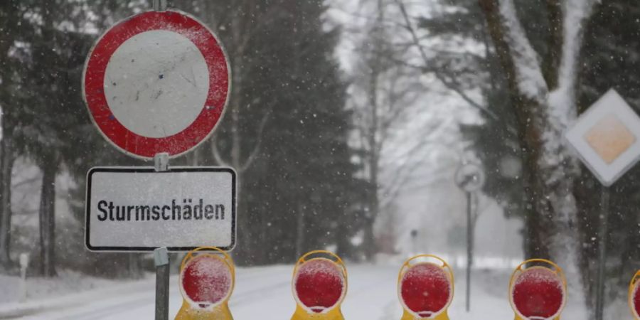 Umgestürzte Bäume sorgen nach dem Sturmtief «Sabine» im deutschen Bundesland Sachsen-Anhalt für Verkehrseinschränkungen auf den Strassen.