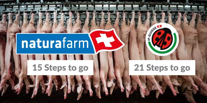 Gemäss der Vergleichsplattform essenmitherz.ch des Schweizer Tierschutzes sind die Tierwohl-Anforderungen bei IP Suisse weniger stark als bei Naturafarm. coop