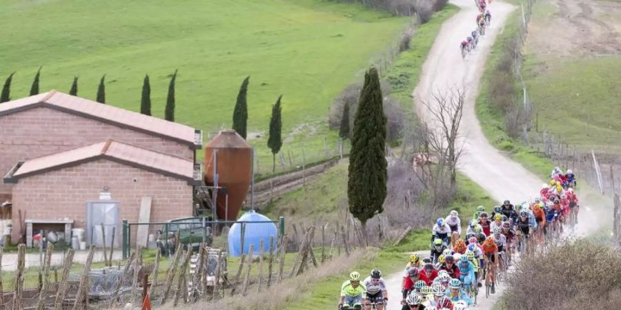 Strade Bianche