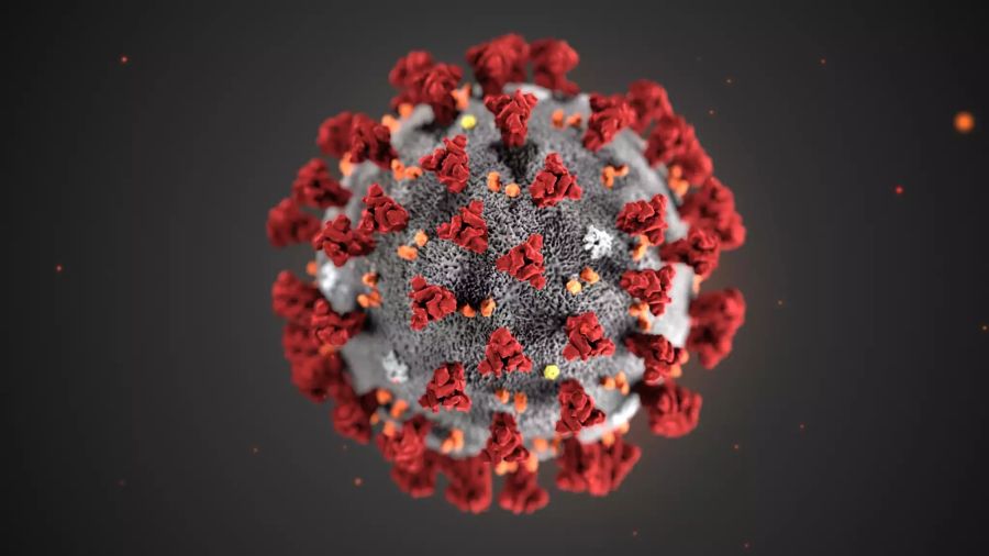 Coronavirus 3D