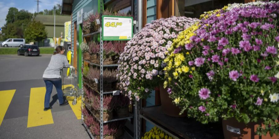 blumen coronavirus