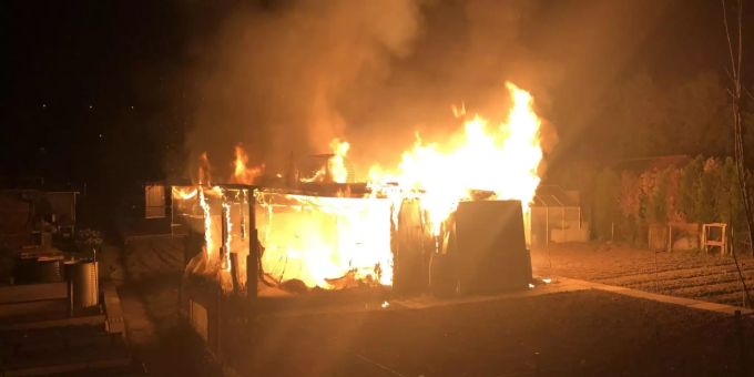 Rund zwanzig Hühner sterben bei Vollbrand in Reinach BL. Baselland Hühner