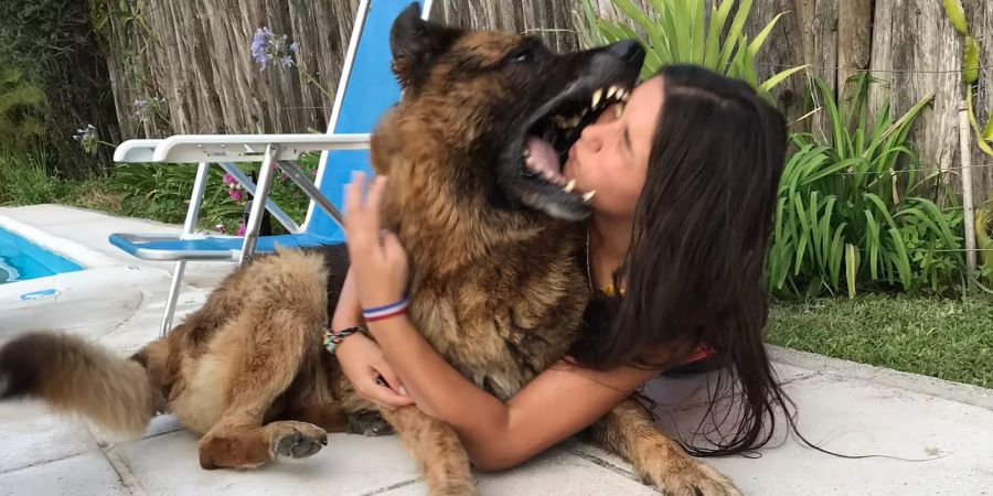 foto lara sanson schäferhund