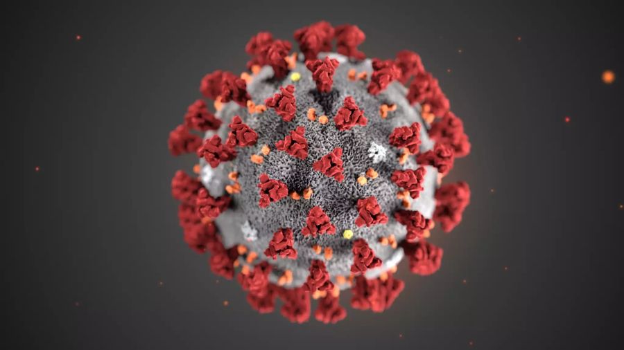 Coronavirus