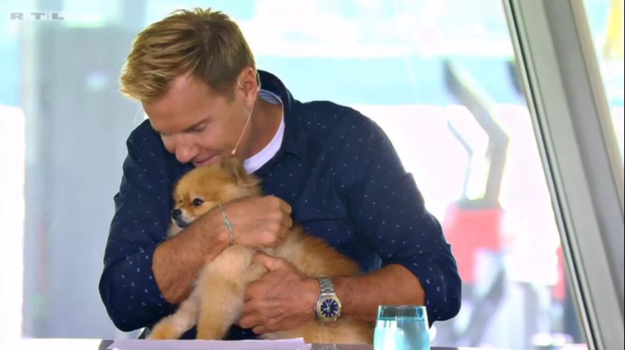 DSDS 2020