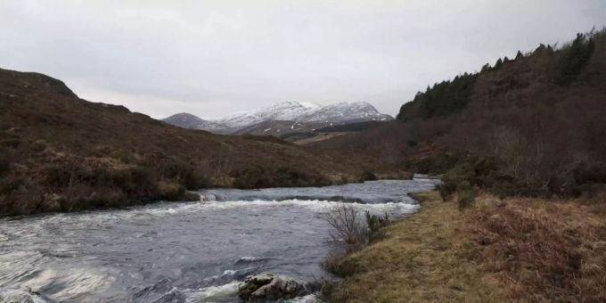 Ziel des Projekts «Wild» ist es, in den schottischen Highlands den Lebensraum bedrohter Arten wiederherzustellen. Sri Lanka Povlsen Schottland.