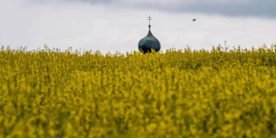Die Kirchturmspitze von Rudlfing in Bayern ragt über einem Rapsfeld auf. In den nächsten Tagen regnet es in wechselnden Regionen verbreitet. Foto: Lino Mirgeler