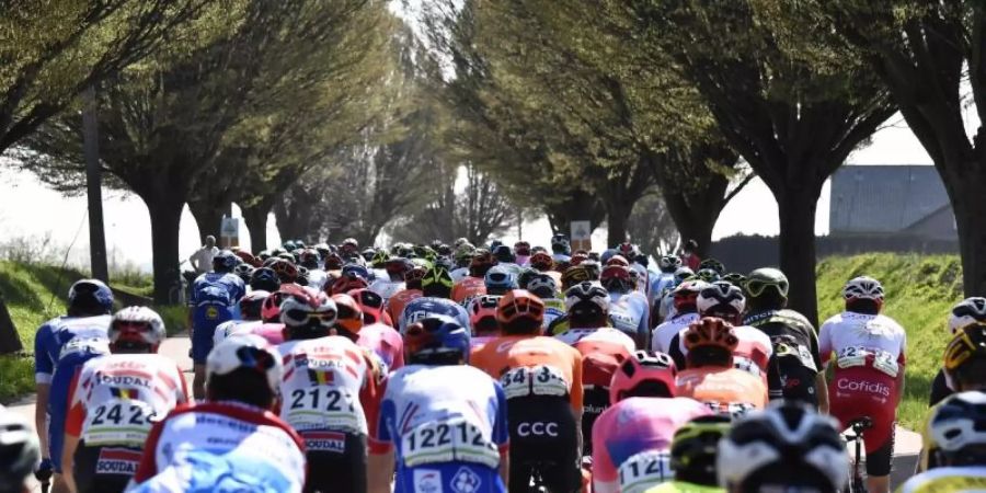 Das Rennen mit Start und Ziel in Harelbeke gilt als wichtiger Gradmesser für die Flandern-Rundfahrt. Foto: Dirk Waem/BELGA/dpa