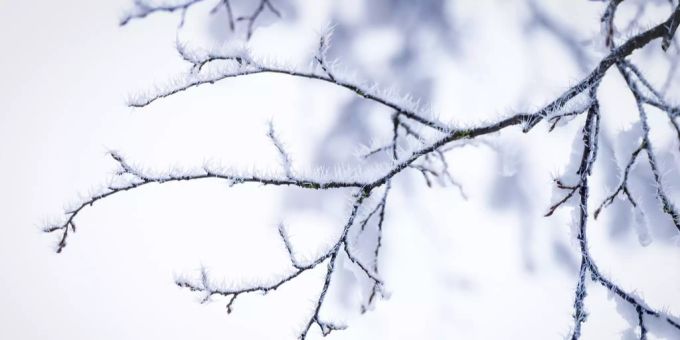 Winter Schweiz Winter Schweiz