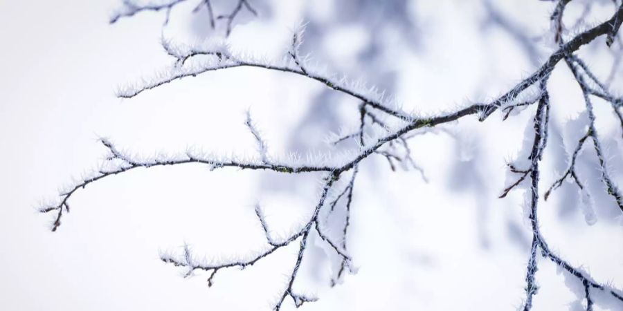 Winter Schweiz