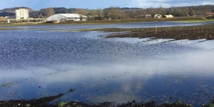 Mit Absicht überschwemmt worden ist dieses Ackerland bei Yverdon-les-Bains. Nun können dort Watvögel, die von Afrika nach Nordeuropa zurückkehren, eine Rast einlegen. Mit Absicht überschwemmt worden ist dieses Ackerland bei Yverdon-les-Bains. Nun können dort Watvögel, die von Afrika nach Nordeuropa zurückkehren, eine Rast einlegen.