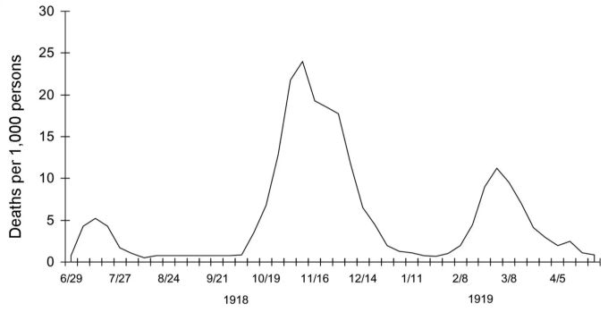 Die Sterblichkeit durch Lungenentzündungen in Grossbritannien während der Spanischen Grippe. Das Bild von erster und zweiter Welle wirkt vertraut. Coronavirus Spanische Grippe