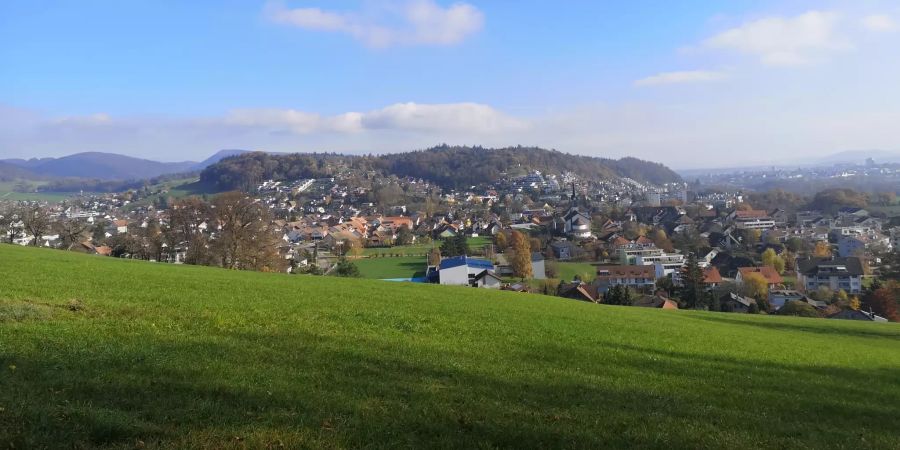 Der Blick auf die Gemeinde Erlinsbach (AG).