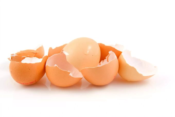 Die Eierschalenmembran, der wichtigste Inhaltsstoff von OVO MED, enthält über 60 % natürliches Kollagen – eine Wunderwaffe für Ihre Gelenke! Helvlilab AG