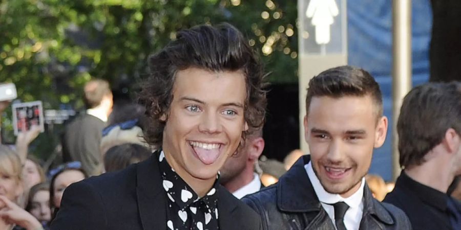 Harry Styles und Liam Payne