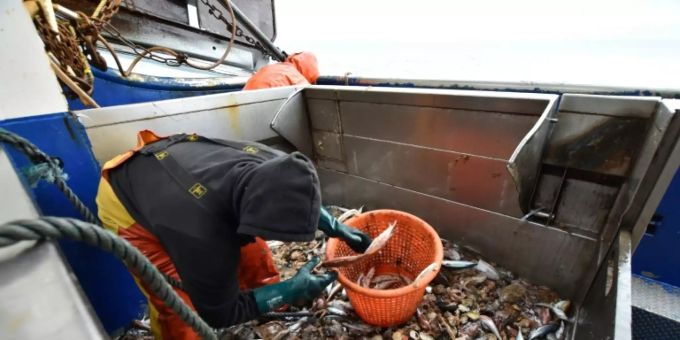 Fischer im Ärmelkanal Fischer im Ärmelkanal