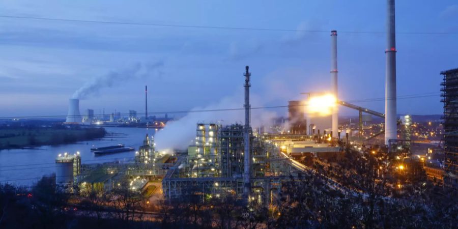 ifo Institut für Wirtschaftsforschung
