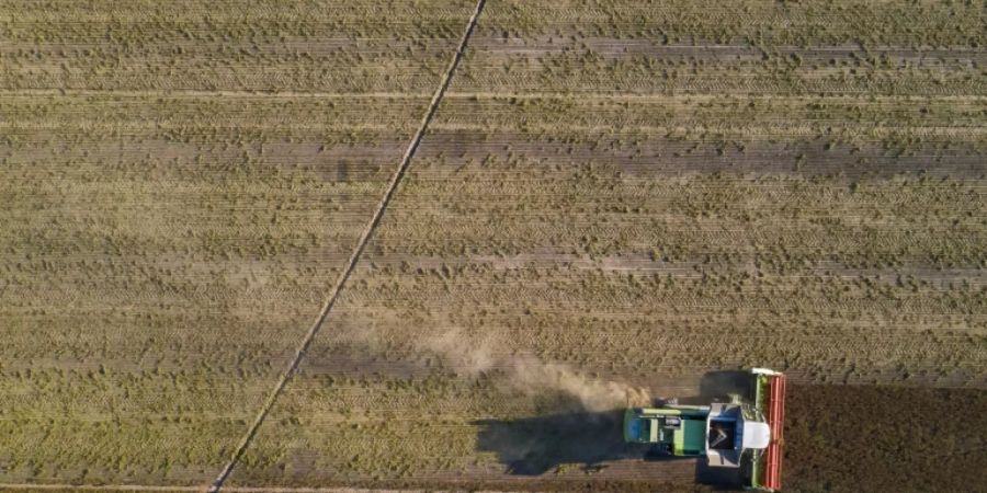 Landwirt bei der Arbeit