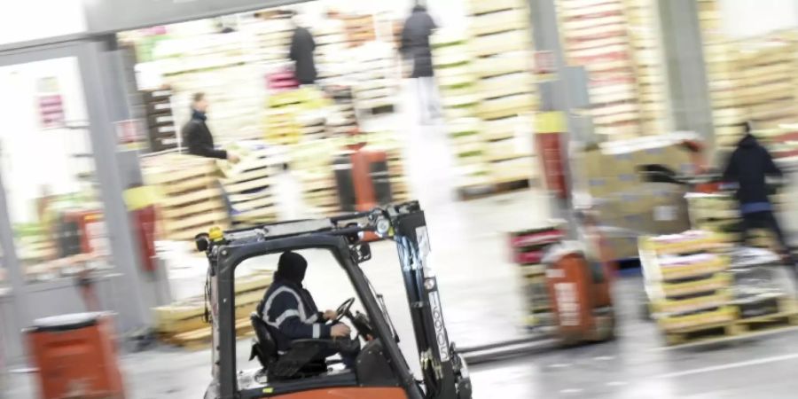 Gabelstapler sind vielseitig einsetzbar