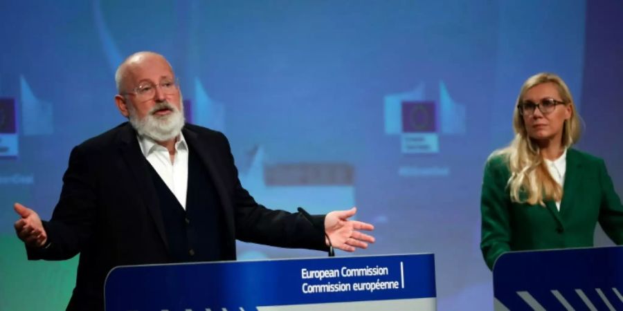 timmermans