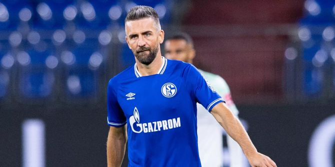 Vedad Ibisevic Schalke 04