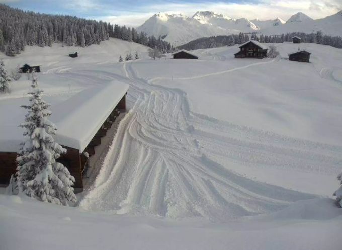 Arosa jubelt über den Schnee. Arosa