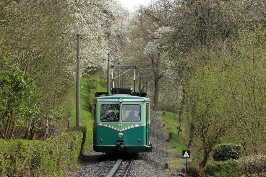 Wald Zahnradbahn Drachenfels Schienen