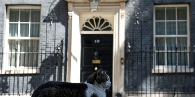 Kater Larry vor der Downing Street Kater Larry vor der Downing Street