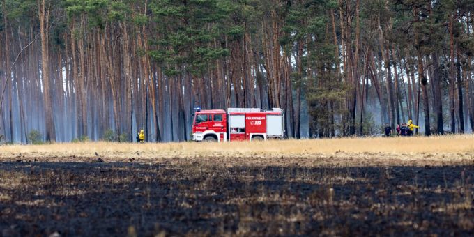 Mehrere Feuerwehren bekämpften den Waldbrand im Naturschutzgebiet Gohrischheide. Mehrere Feuerwehren bekämpften den Waldbrand im Naturschutzgebiet Gohrischheide.