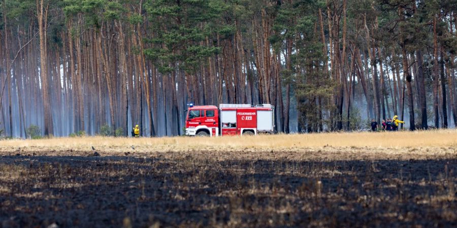 Mehrere Feuerwehren bekämpften den Waldbrand im Naturschutzgebiet Gohrischheide.