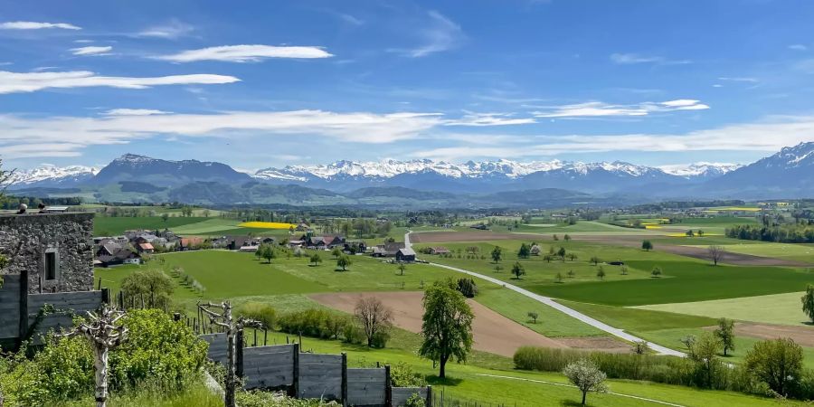 Aussicht über Ballwil in Hohenrain.