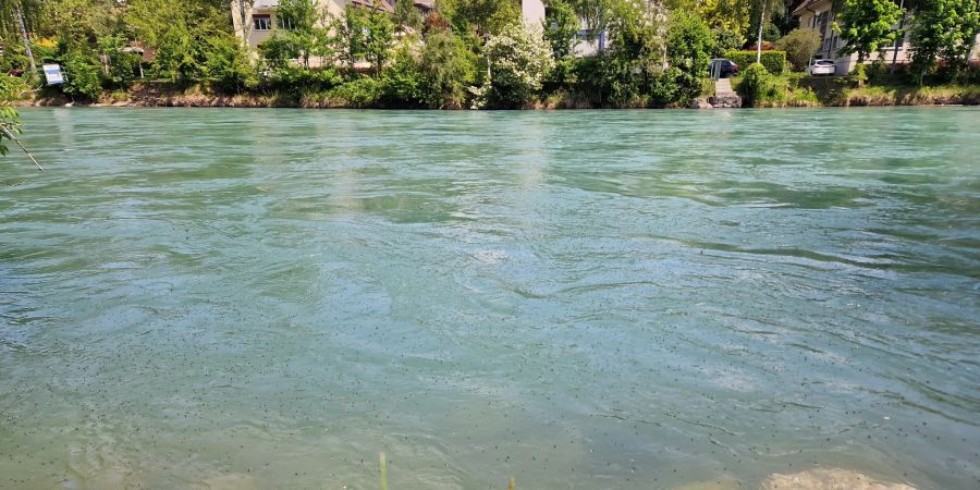 Nur wenige Schwimmer trauen sich ins kühle Nass.