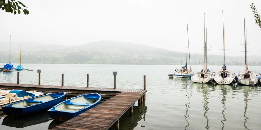 hallwilersee