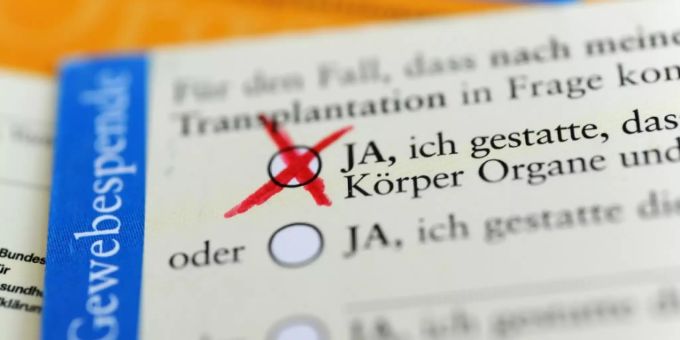 Rückseite eines Organspendeausweises Rückseite eines Organspendeausweises