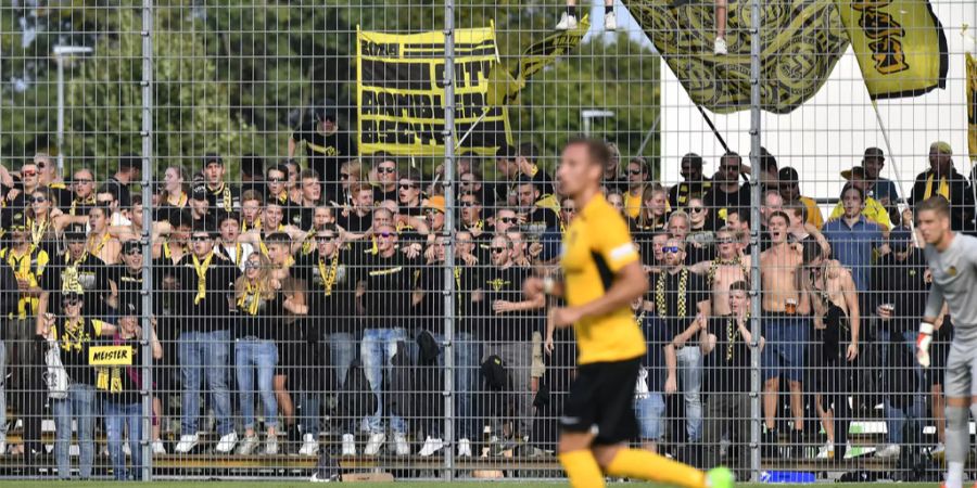 BSC Young Boys