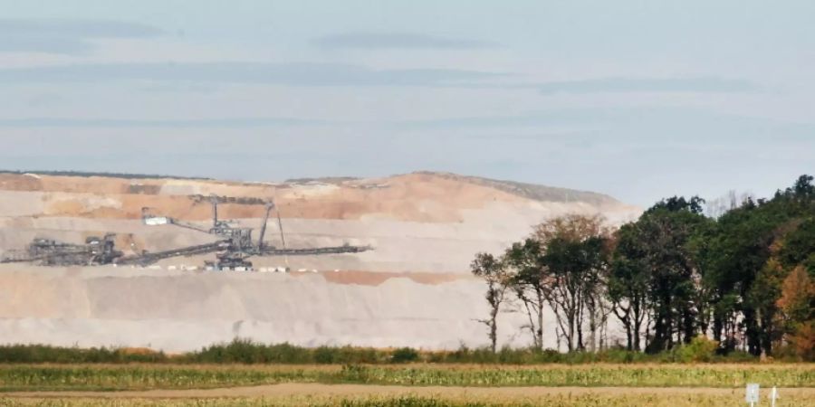 Hambacher Forst