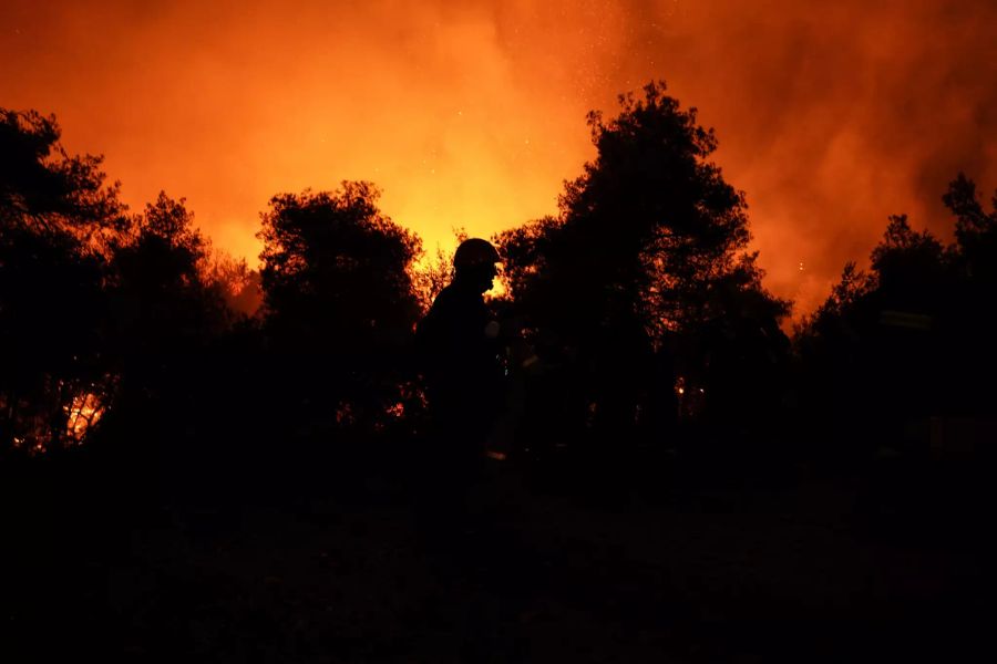 Feuer