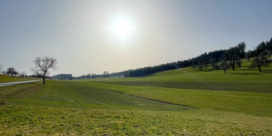 Landschaftsfoto bei Rickenbach.