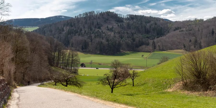 Landschaftsfoto in der Gemeinde Ramlinsburg.