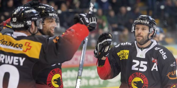 sc bern sportchef